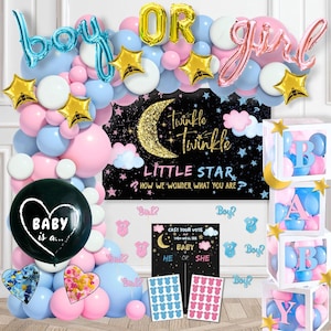 Twinkle Twinkle Little Star Gender Reveal Decorations