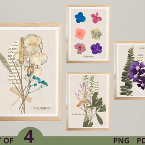 Herbarium Wall Art Set of 4, Pressed Flower Art, Dry Flowers Print, Floral Gallery Wall Art, Wall Home Decor, Instant Download, PDF PNG