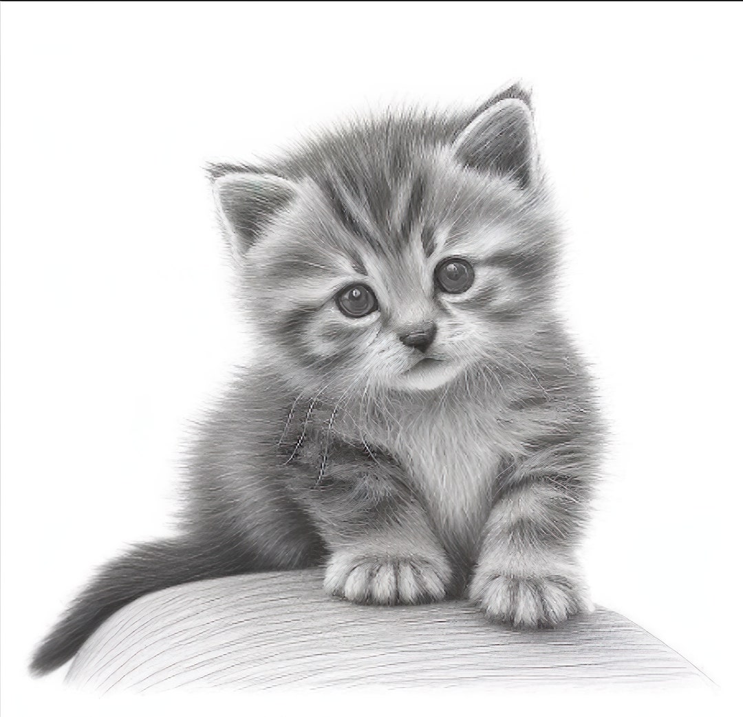 Draw Cute Kitten Draw Cute Kitten