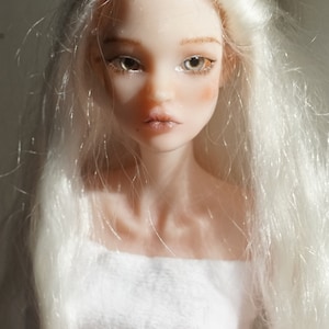 BJD resin doll 1/4 / artistic dolls / collectible doll / author’s doll