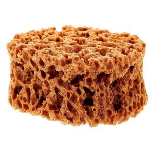 Gąbka do malowania, naturalna tekstura wodorostów, wielokrotnego użytku aplikator do farb dla dzieci, stempel do ceramiki, kolorowanki, narzędzia do drukowania, akcesoria