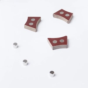 Pu&ograve; includere: Una vista dall'alto mostra diversi piccoli magneti rettangolari curvi, rosso-marrone, con due fori circolari. Ci sono anche diversi piccoli magneti cilindrici argentati. Tutto su sfondo bianco.