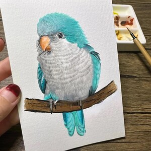 May include: Watercolor painting of a blue and gray bird perched on a brown branch. The bird has a turquoise head and tail feathers, with a gray body. The bird's beak is orange, and it is set against a white background.
