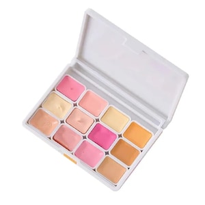 Set de acuarelas, 12 colores de piel, subpaquete de 1 ml, caja de plástico, varios tonos, color carne, accesorios para pintar retratos.