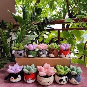 Puede incluir: Una colección de 10 plantas suculentas de crochet en varios colores y diseños de animales. Las suculentas están en macetas pequeñas con caras lindas. Las macetas están dispuestas en dos filas sobre una superficie rosa. El texto "XIAOMI 13 LITE" y "BONGHANDICRAFT" es visible en la parte inferior de la imagen.