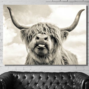 Cow With Tongue Print Highland Cow Canvas Wall Art Farmhouse Decor Rustic Wall Decor Animals Painting Scottish Cow Wall Art Ready To Hang