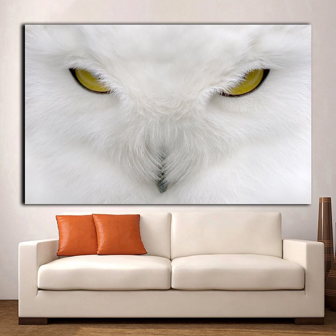 Owl Canvas Prints White Owl Canvas Wall Art Animal Canvas Etsy