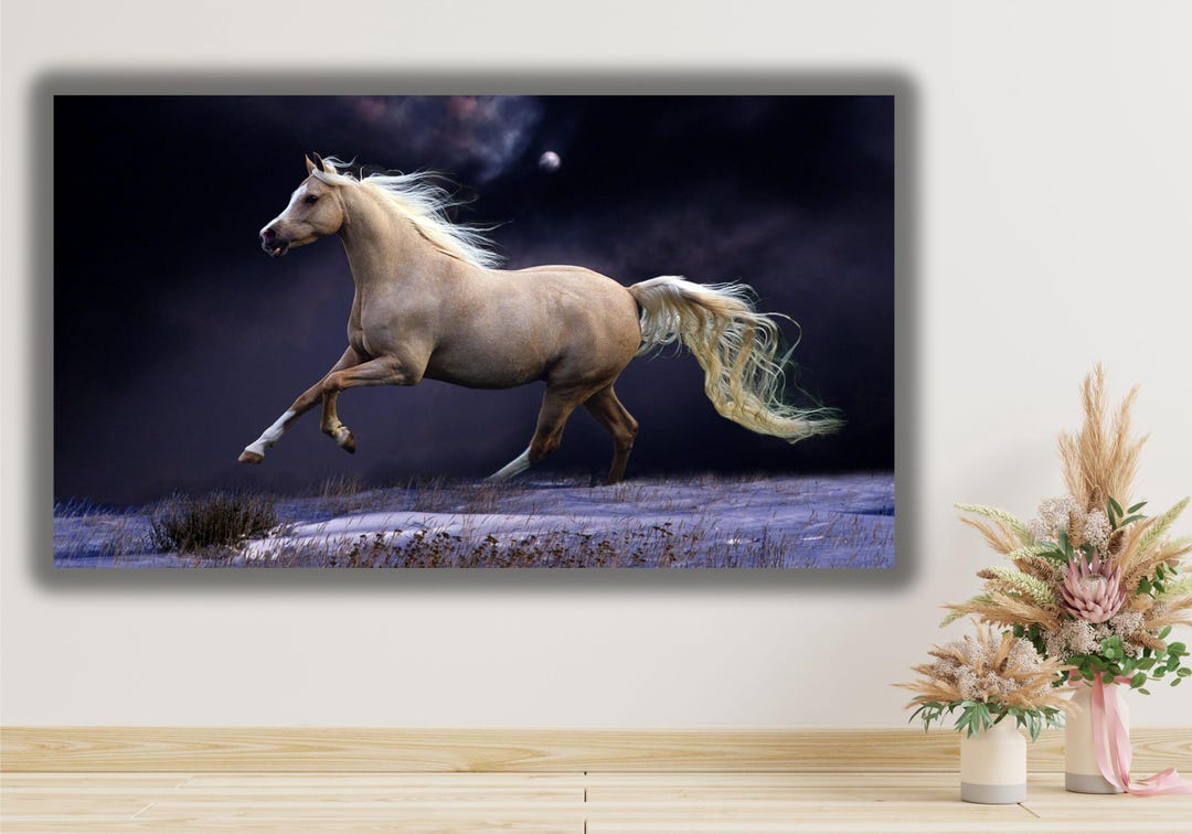 White Running Horses Canvas Wall Art Painting Print, Modern Art,extra ...