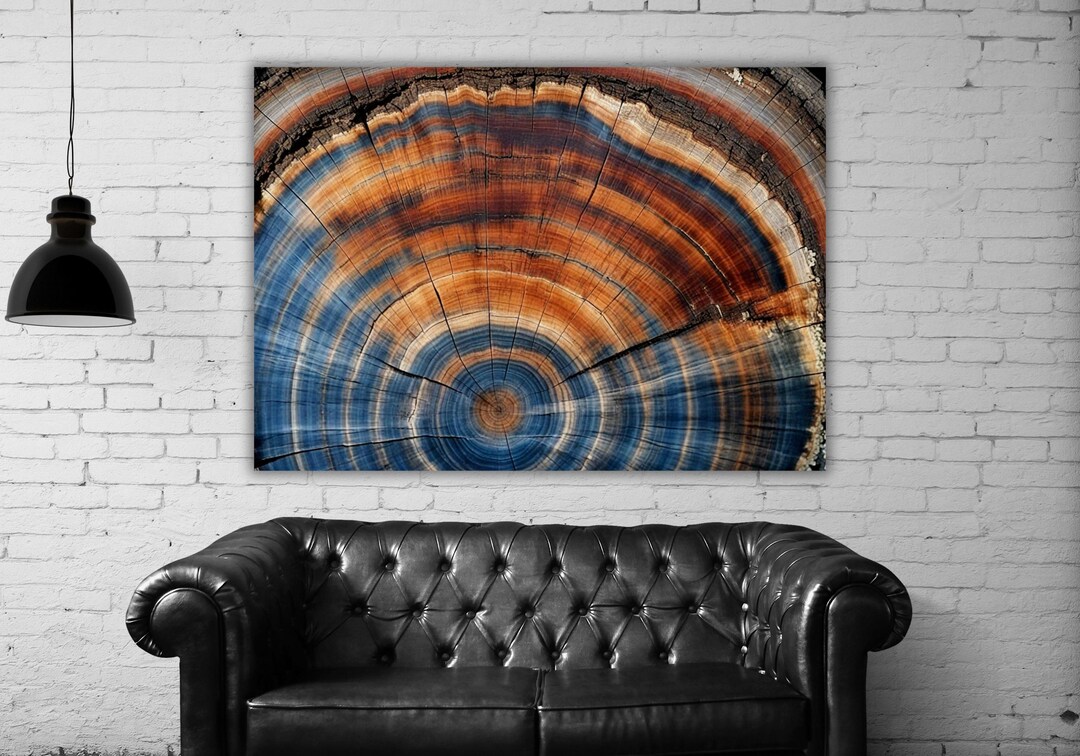Tree Ring Canvas Wall Art, Colorful Tree Ring Wall Decor Art,minimalist ...