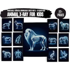 Printable Animal X-Rays for Kids: Vet Pretend Play (Digital Download)