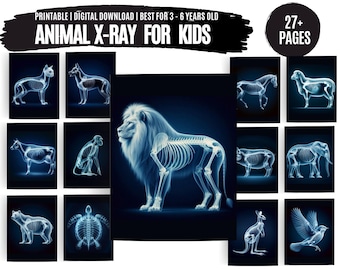 Printable Animal X-Rays for Kids: Vet Pretend Play (Digital Download)