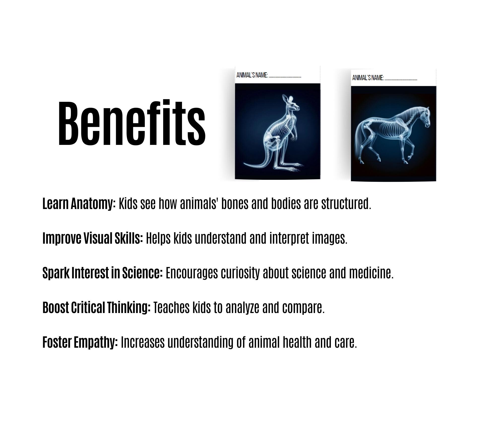 Printable Animal X-rays for Kids, Pretend Play Kids Vet X-ray Activity ...