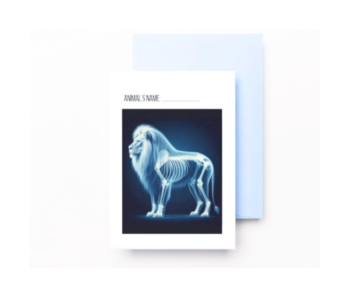Printable Animal X-rays for Kids, Pretend Play Kids Vet X-ray Activity ...