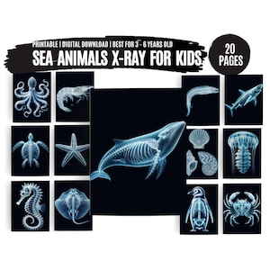 Printable Sea Animals X-Ray for Kids: Vet Pretend Play (Digital Download)