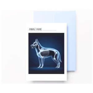 Printable Animal X-rays for Kids, Pretend Play Kids Vet X-ray Activity ...
