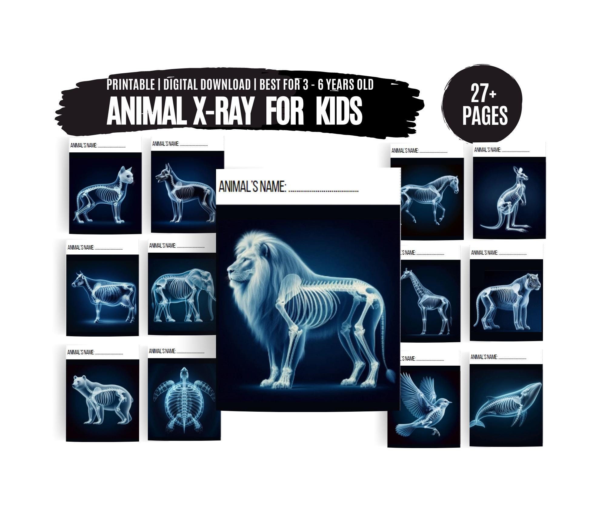Printable Animal X-rays for Kids, Pretend Play Kids Vet X-ray Activity, Fun Role-play for Aspiring Vets, Print at Home Veterinary Play Kit - Etsy for Free X Ray Printables Pdf