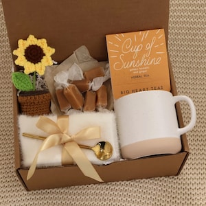 Sending Healing Vibes Gift Box For Women, Succulent, Socks, Candle, Get Well Gift For Her, Thinking Of You Gift, Gift Basket With Blanket SunshineSmall