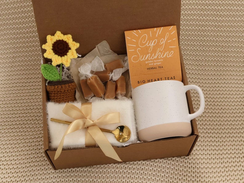 Sending Healing Vibes Gift Box For Women, Succulent, Socks, Candle, Get Well Gift For Her, Thinking Of You Gift, Gift Basket With Blanket SunshineSmall