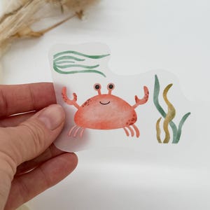 Könnte beinhalten: Ein transparenter Aufkleber mit einer roten Krabbe und grünem Seetang auf weißem Hintergrund.