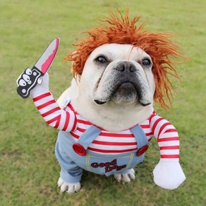 Halloween Murderer Hundekostüm- Gruseliges Halloween-Kostüm für Hunde-Virales Hundekostüm, Chucky, Mike Myers, Lustiges Hundekostüm, Tik Tok Hund