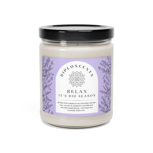 Diplo Relax It's Bid Season Soy Candle, Diplomat, Foreign Service, State Department Gift