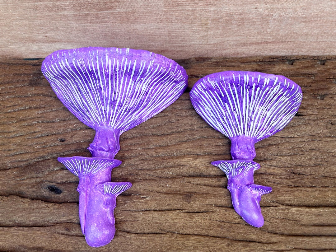 Floating Mushroom Shelf Wall Mounted Decorative Clay Mushroom Etsy