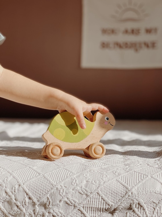 Turtle toys for best sale toddlers