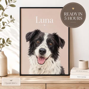 Puede incluir: Un retrato enmarcado de un border collie blanco y negro con la lengua rosa, sobre un fondo beige claro. El nombre Luna está impreso en blanco sobre el perro. Una insignia circular dice READY IN 5 HOURS con un icono de corazón.