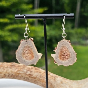 Deer Antler Earrings - Dangle - Large