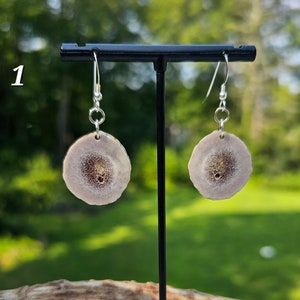 Deer Antler Earrings - Dangle - Medium