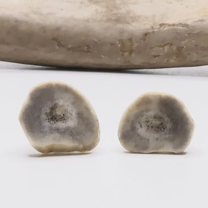 Deer Antler Earrings - Studs