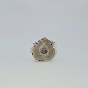 Antler Ring - silver