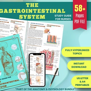 Maag-darmstelsel Studiegids verpleging | 60+ pagina's spijsverteringsstelsel en darmgezondheid | Studieblad voor studenten | Digitale download/pdf