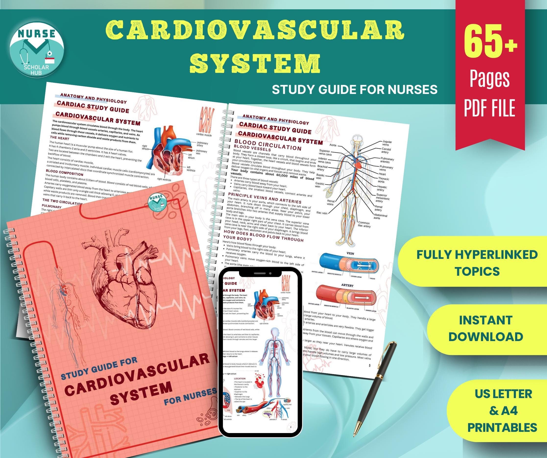 Cardiovascular System Nursing Note Bundle | Heart Anatomy & Cardiac Study Guide | 65+ Pages | Nursing School Resource | Instant PDF Download
