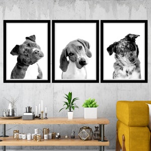 Dog Trio Head Tilt Printable Wall Art Funny Dog Veterinary Clinic Wall Art Dog Veterinarian Decor Dog Vet Med Wall Art Digital Dog Vet Print
