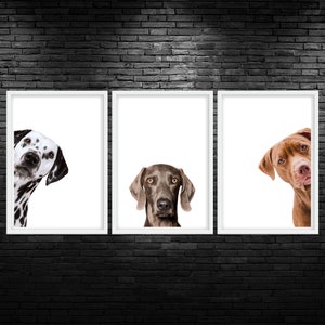 Peeking Dogs Color Digital Vet Art Printable Wall Art Veterinary Clinic Wall Art Animal Clinic Wall Decor Veterinarian Office Art Digital
