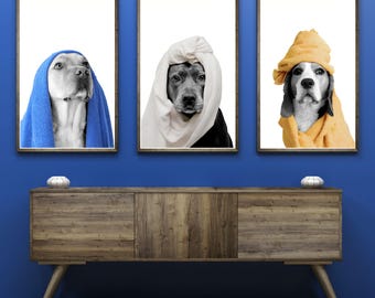 May include: Three framed prints of dogs wearing towels. The dog on the left is wearing a blue towel, the dog in the middle is wearing a white towel, and the dog on the right is wearing a yellow towel.