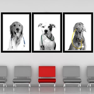 ドクタードッグス カラーポップ 印刷可能な壁アート 犬の聴診器 獣医クリニックの装飾 犬の獣医オフィスの装飾 聴診器をつけた犬のアート
