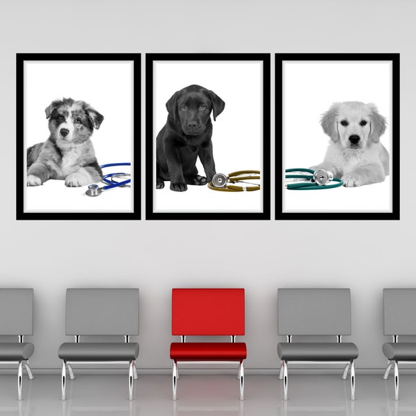 Puppy Stethoscope Color Pop Printable Wall Art Vet Stethoscope Veterinary Office Wall Art Pupp Veterinarian Clinic Decor Stethoscope Vet Art