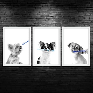 Dog Dental Color Pop Trio Printable Wall Art Dog Toothbrush Blue Veterinary Clinic Decor Dog Dentist Wall Art Dog With Toothbrush Vet Decor