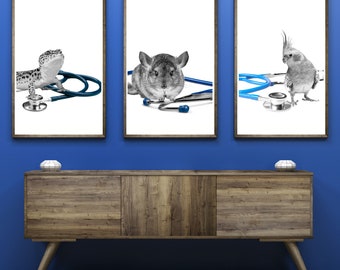 Tiny Pet Stethoscope Printable Wall Art Exotic Pet Veterinary Office Decor Small Pet Veterinarian Clinic Wall Art Exotic Pet Animal Clinic