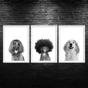 Dog Wig Trio Printable Wall Art Dog Grooming Salon Decor Dog Groomer Wall Art Dog Salon Wall Art Dog Grooming Poster Dog Wig Poster Digital