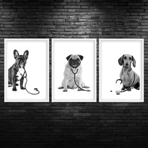Small Dog Stethoscope Printable Wall Art Veterinary Clinic Decor Dog Doctor Vet Med Wall Art Veterinarian Office Wall Art Digital Vet Prints