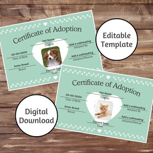 Könnte beinhalten: Editierbare Vorlage für eine Adoptionsurkunde. Die Urkunde zeigt ein Herz mit einem Pfotenabdruckmuster und Platz für ein Foto, den Namen, die Rasse und die Adoptionsinformationen eines Haustieres. Der Text "Adoptionsurkunde" steht oben auf der Urkunde.
