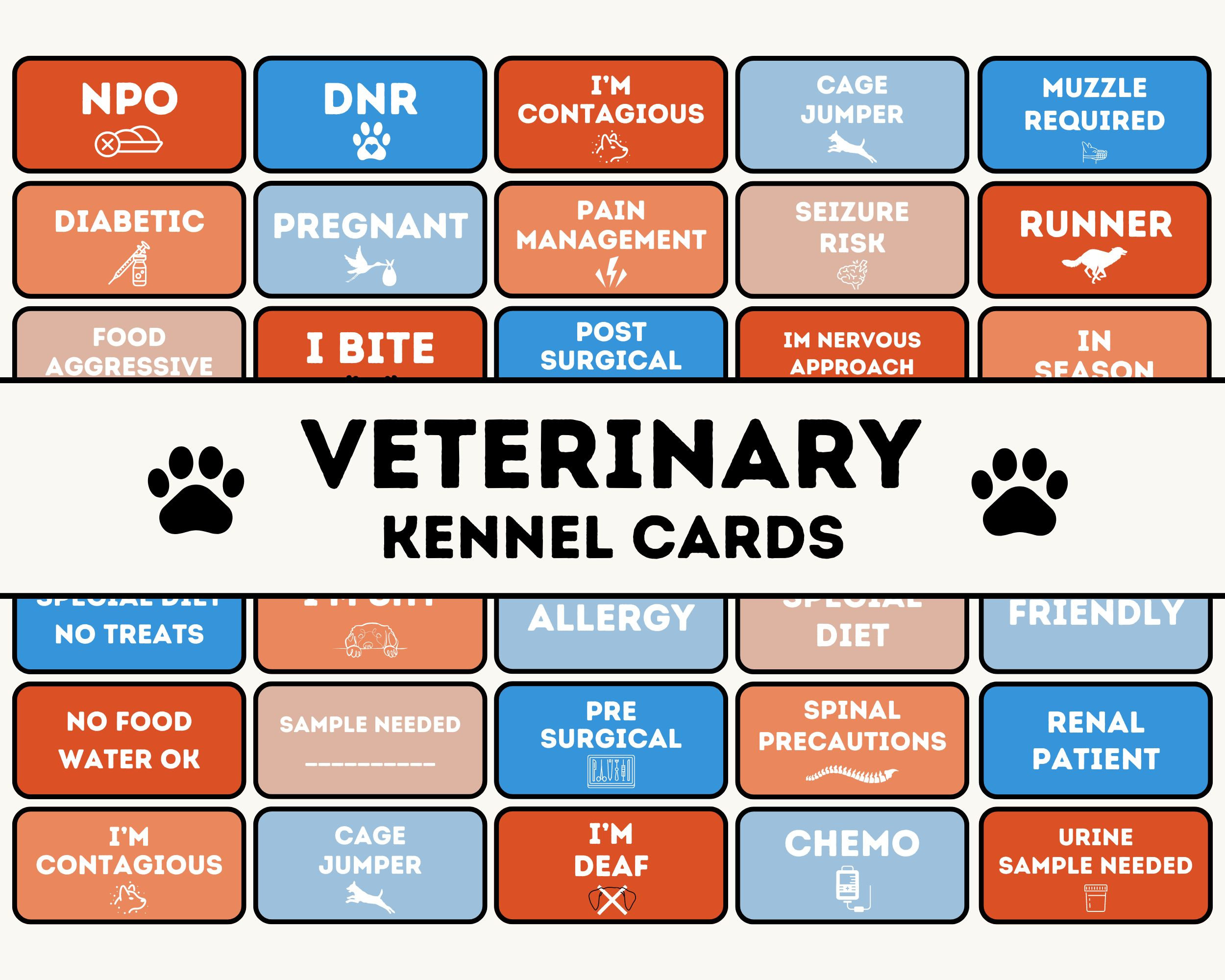Veterinary Cage Cards Printable Veterinary Kennel Cards Digital