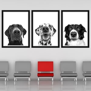 Up Close Dog Nose Printable Wall Art Dog Veterinary Clinic Wall Art Dog Veterinarian Office Decor Funny Dog Vet Med Poster Digital Vet Art