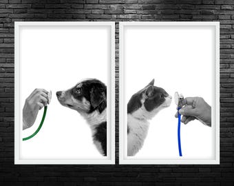Pet Stethoscope Color Pop Duo Printable Wall Art Pet Stethoscope Veterinary Clinic Decor Cat And Dog Stethoscope Veterinarian Office Artwork