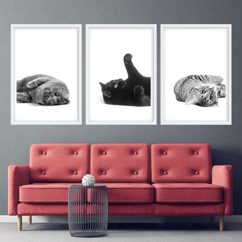 May include: Three black and white photos of cats in different poses. The photos are framed in white and hung on a gray wall above a red couch.