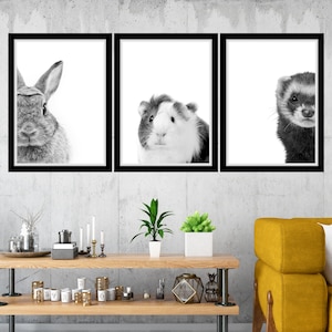 Small Peeking Pet Printable Wall Art Veterinary Clinic Art Decor Vet Office Wall Art Animal Clinic Wall Art Digital Vet Med Pet Portrait Art