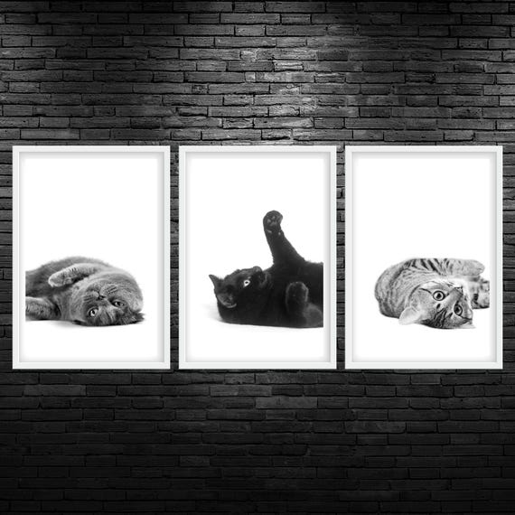 Cat Lay Trio Printable Wall Art Cute Cat Veterinary Clinic Decor Playing Cats Veterinarian Office Decor Cat Animal Hospital Wall Art
